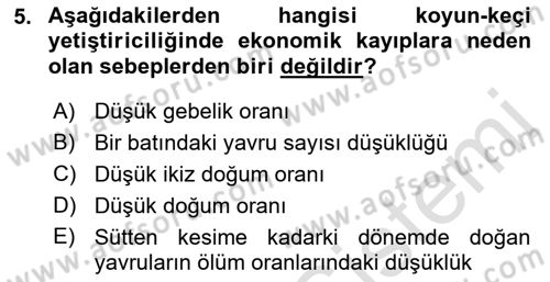 Temel Sürü Sağlığı Yönetimi Dersi 2021 - 2022 Yılı (Vize) Ara Sınavı 5. Soru