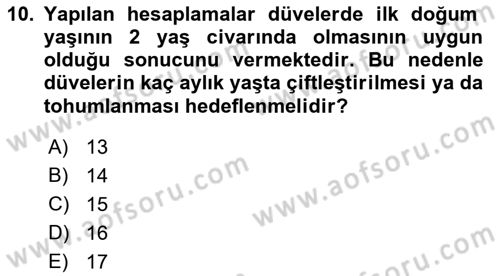 Temel Sürü Sağlığı Yönetimi Dersi 2021 - 2022 Yılı (Final) Dönem Sonu Sınav Soruları 10. Soru