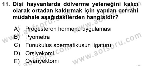 Temel Sürü Sağlığı Yönetimi Dersi 2021 - 2022 Yılı (Final) Dönem Sonu Sınav Soruları 11. Soru
