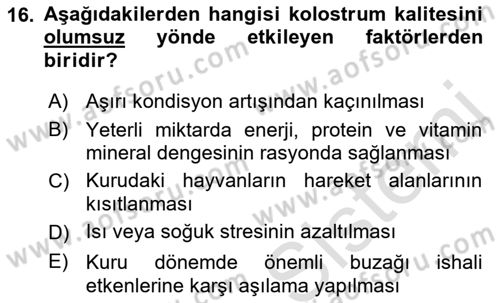 Temel Sürü Sağlığı Yönetimi Dersi 2021 - 2022 Yılı (Final) Dönem Sonu Sınav Soruları 16. Soru
