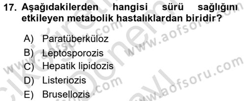 Temel Sürü Sağlığı Yönetimi Dersi 2021 - 2022 Yılı (Final) Dönem Sonu Sınav Soruları 17. Soru
