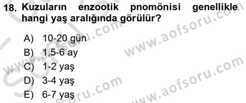 Temel Sürü Sağlığı Yönetimi Dersi 2021 - 2022 Yılı (Final) Dönem Sonu Sınav Soruları 18. Soru