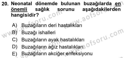 Temel Sürü Sağlığı Yönetimi Dersi 2021 - 2022 Yılı (Final) Dönem Sonu Sınav Soruları 20. Soru