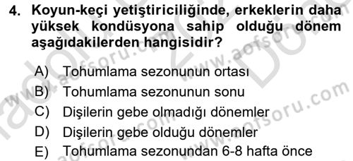Temel Sürü Sağlığı Yönetimi Dersi 2021 - 2022 Yılı (Final) Dönem Sonu Sınav Soruları 4. Soru