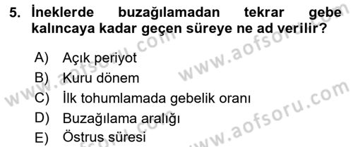 Temel Sürü Sağlığı Yönetimi Dersi 2021 - 2022 Yılı (Final) Dönem Sonu Sınav Soruları 5. Soru