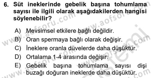 Temel Sürü Sağlığı Yönetimi Dersi 2021 - 2022 Yılı (Final) Dönem Sonu Sınav Soruları 6. Soru