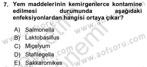 Temel Sürü Sağlığı Yönetimi Dersi 2021 - 2022 Yılı (Final) Dönem Sonu Sınav Soruları 7. Soru