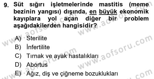Temel Sürü Sağlığı Yönetimi Dersi 2021 - 2022 Yılı (Final) Dönem Sonu Sınav Soruları 9. Soru