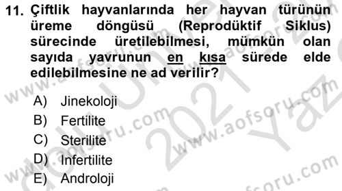 Temel Sürü Sağlığı Yönetimi Dersi 2021 - 2022 Yılı Yaz Okulu Sınavı 11. Soru