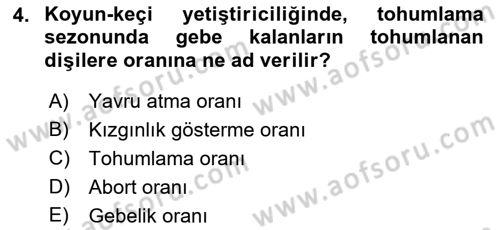 Temel Sürü Sağlığı Yönetimi Dersi 2021 - 2022 Yılı Yaz Okulu Sınav Soruları 4. Soru