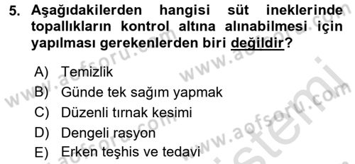 Temel Sürü Sağlığı Yönetimi Dersi 2021 - 2022 Yılı Yaz Okulu Sınav Soruları 5. Soru