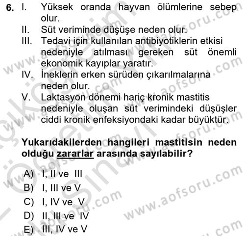Temel Sürü Sağlığı Yönetimi Dersi 2021 - 2022 Yılı Yaz Okulu Sınav Soruları 6. Soru