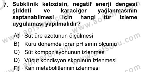 Temel Sürü Sağlığı Yönetimi Dersi 2021 - 2022 Yılı Yaz Okulu Sınav Soruları 7. Soru