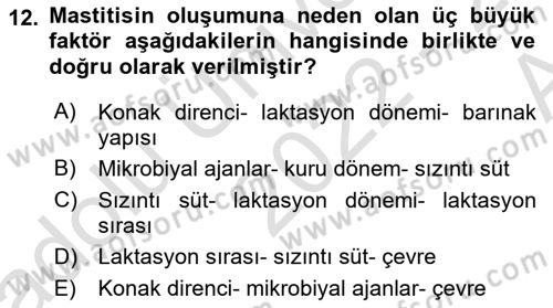 Temel Sürü Sağlığı Yönetimi Dersi 2022 - 2023 Yılı (Vize) Ara Sınav Soruları 12. Soru