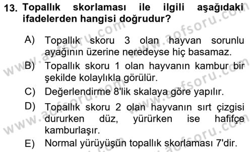 Temel Sürü Sağlığı Yönetimi Dersi 2022 - 2023 Yılı (Vize) Ara Sınavı 13. Soru