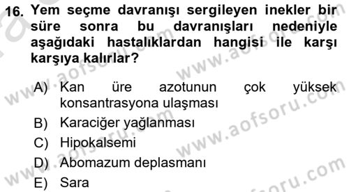 Temel Sürü Sağlığı Yönetimi Dersi Ara Sınavı Deneme Sınav Soruları 16. Soru
