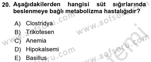 Temel Sürü Sağlığı Yönetimi Dersi 2022 - 2023 Yılı (Vize) Ara Sınavı 20. Soru