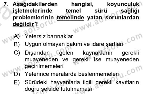 Temel Sürü Sağlığı Yönetimi Dersi Ara Sınavı Deneme Sınav Soruları 7. Soru