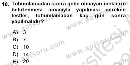 Temel Sürü Sağlığı Yönetimi Dersi 2022 - 2023 Yılı (Final) Dönem Sonu Sınav Soruları 10. Soru