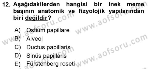 Temel Sürü Sağlığı Yönetimi Dersi 2022 - 2023 Yılı (Final) Dönem Sonu Sınav Soruları 12. Soru