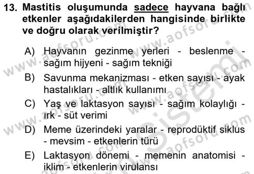 Temel Sürü Sağlığı Yönetimi Dersi 2022 - 2023 Yılı (Final) Dönem Sonu Sınav Soruları 13. Soru