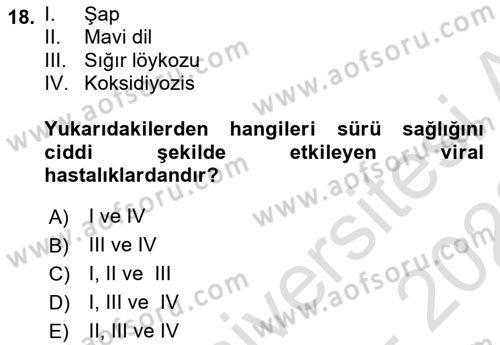 Temel Sürü Sağlığı Yönetimi Dersi 2022 - 2023 Yılı (Final) Dönem Sonu Sınavı 18. Soru