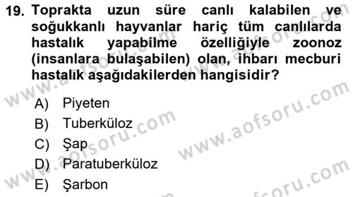 Temel Sürü Sağlığı Yönetimi Dersi 2022 - 2023 Yılı (Final) Dönem Sonu Sınavı 19. Soru