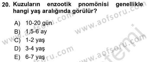 Temel Sürü Sağlığı Yönetimi Dersi 2022 - 2023 Yılı (Final) Dönem Sonu Sınav Soruları 20. Soru