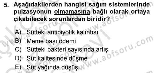 Temel Sürü Sağlığı Yönetimi Dersi 2022 - 2023 Yılı (Final) Dönem Sonu Sınav Soruları 5. Soru
