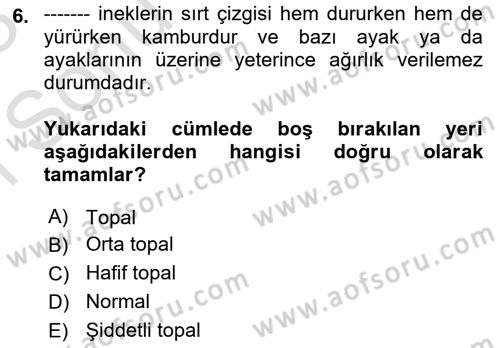 Temel Sürü Sağlığı Yönetimi Dersi 2022 - 2023 Yılı (Final) Dönem Sonu Sınav Soruları 6. Soru