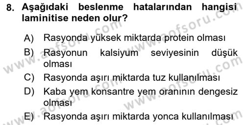 Temel Sürü Sağlığı Yönetimi Dersi 2022 - 2023 Yılı (Final) Dönem Sonu Sınavı 8. Soru