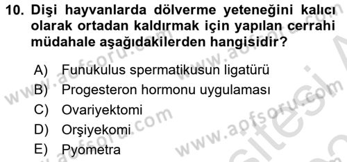 Temel Sürü Sağlığı Yönetimi Dersi 2022 - 2023 Yılı Yaz Okulu Sınavı 10. Soru