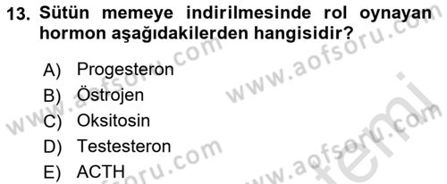 Temel Sürü Sağlığı Yönetimi Dersi 2022 - 2023 Yılı Yaz Okulu Sınavı 13. Soru