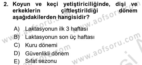 Temel Sürü Sağlığı Yönetimi Dersi 2022 - 2023 Yılı Yaz Okulu Sınavı 2. Soru