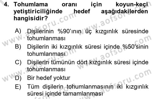 Temel Sürü Sağlığı Yönetimi Dersi 2022 - 2023 Yılı Yaz Okulu Sınavı 4. Soru