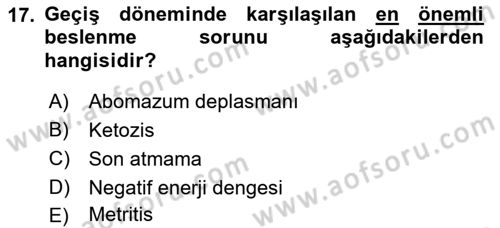 Temel Sürü Sağlığı Yönetimi Dersi 2023 - 2024 Yılı (Vize) Ara Sınavı 17. Soru