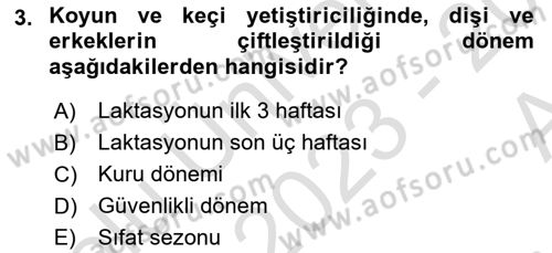 Temel Sürü Sağlığı Yönetimi Dersi 2023 - 2024 Yılı (Vize) Ara Sınav Soruları 3. Soru