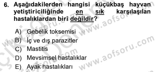 Temel Sürü Sağlığı Yönetimi Dersi Ara Sınavı Deneme Sınav Soruları 6. Soru