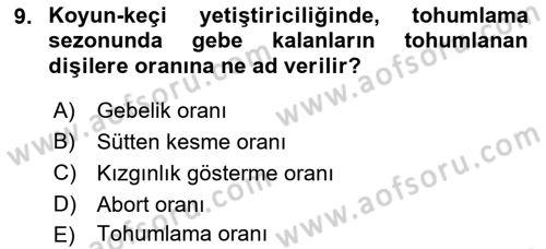 Temel Sürü Sağlığı Yönetimi Dersi 2023 - 2024 Yılı (Vize) Ara Sınav Soruları 9. Soru