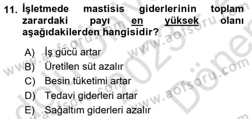 Temel Sürü Sağlığı Yönetimi Dersi 2023 - 2024 Yılı (Final) Dönem Sonu Sınav Soruları 11. Soru
