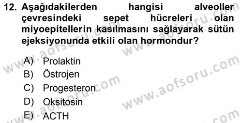 Temel Sürü Sağlığı Yönetimi Dersi 2023 - 2024 Yılı (Final) Dönem Sonu Sınav Soruları 12. Soru