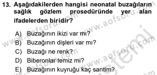 Temel Sürü Sağlığı Yönetimi Dersi 2023 - 2024 Yılı (Final) Dönem Sonu Sınav Soruları 13. Soru