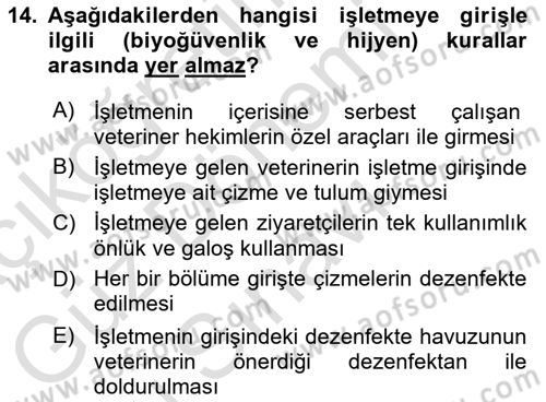 Temel Sürü Sağlığı Yönetimi Dersi 2023 - 2024 Yılı (Final) Dönem Sonu Sınav Soruları 14. Soru