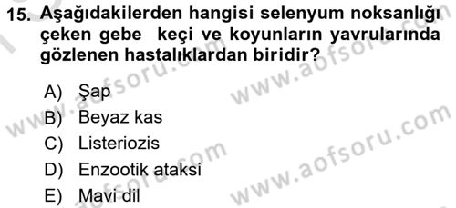 Temel Sürü Sağlığı Yönetimi Dersi 2023 - 2024 Yılı (Final) Dönem Sonu Sınav Soruları 15. Soru