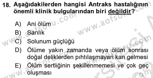 Temel Sürü Sağlığı Yönetimi Dersi 2023 - 2024 Yılı (Final) Dönem Sonu Sınav Soruları 18. Soru