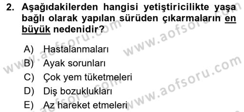 Temel Sürü Sağlığı Yönetimi Dersi 2023 - 2024 Yılı (Final) Dönem Sonu Sınav Soruları 2. Soru