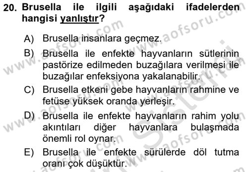 Temel Sürü Sağlığı Yönetimi Dersi 2023 - 2024 Yılı (Final) Dönem Sonu Sınav Soruları 20. Soru