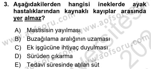 Temel Sürü Sağlığı Yönetimi Dersi 2023 - 2024 Yılı (Final) Dönem Sonu Sınav Soruları 3. Soru
