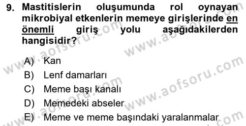 Temel Sürü Sağlığı Yönetimi Dersi 2023 - 2024 Yılı (Final) Dönem Sonu Sınav Soruları 9. Soru