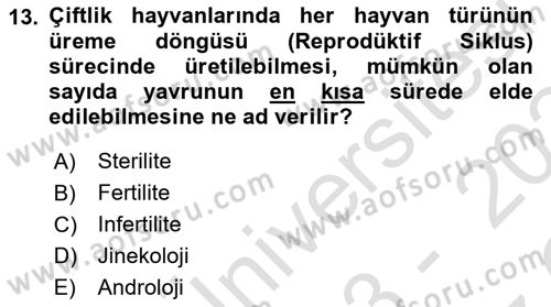 Temel Sürü Sağlığı Yönetimi Dersi 2023 - 2024 Yılı Yaz Okulu Sınav Soruları 13. Soru